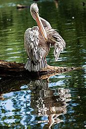 《循环勇者》4月30日登陆手机端 Steam获特别好评